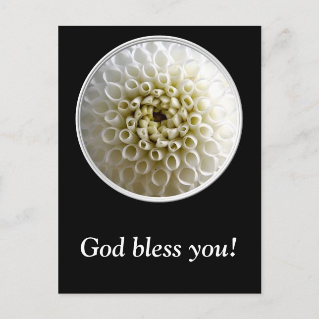 White Dahlia Nah-up Postkarte (Vorderseite)