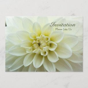 White Dahlia ・ Probe Dinner Einladung