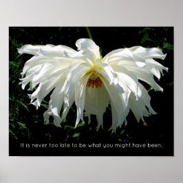 White Dahlia weinend, inspirierendes Zitat Poster