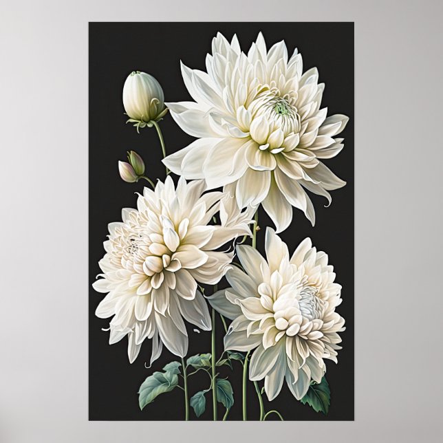 White Dahlias Blume Art Print Poster (Vorne)