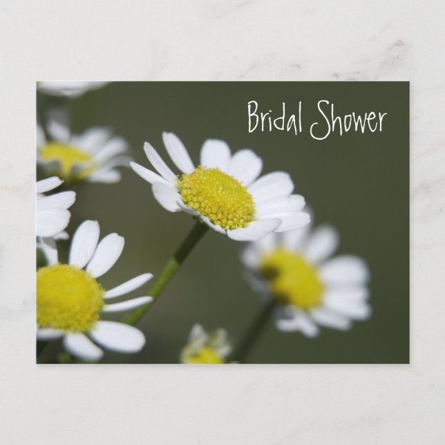 White Daisies Bridal Dusche Einladung (Vorderseite)