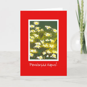 White Daisies on Red Birthday Card: Welsh Greeting Karte