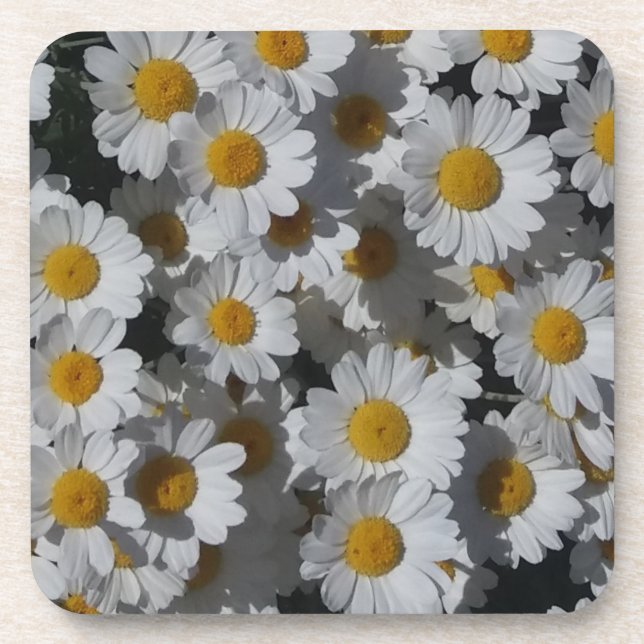 White Daisies Plastic Untersetzer (Vorderseite)