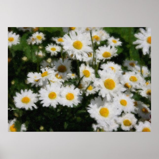 White Daisies Watercolor Poster (Vorne)