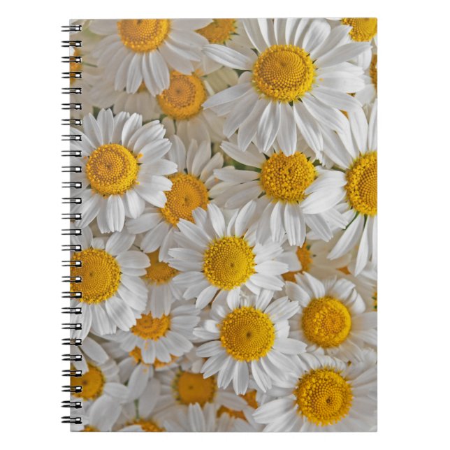 White Daisis: Schöner Blumenhintergrund Notizblock (Vorderseite)