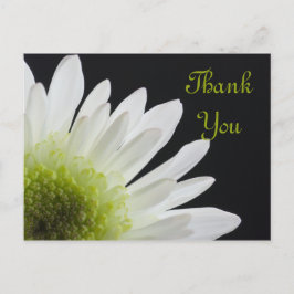 White Daisy auf Black Danke Postkarte