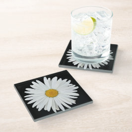 White Daisy auf Black Floral Glasuntersetzer