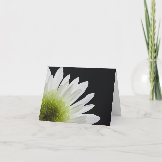 White Daisy auf Black Karte (Vorderseite)