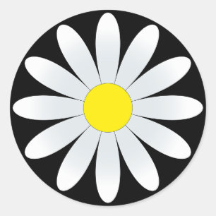 White Daisy auf Schwarz Classic Round Sticker