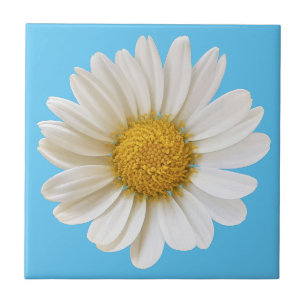 White Daisy auf Sky Blue Background Fliese