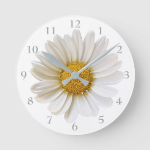 White Daisy auf weißem Hintergrund Runde Wanduhr
