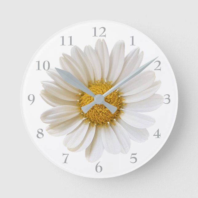 White Daisy auf weißem Hintergrund Runde Wanduhr (Vorderseite)