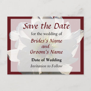 White Daisy Backlit Save the Date Ankündigungspostkarte