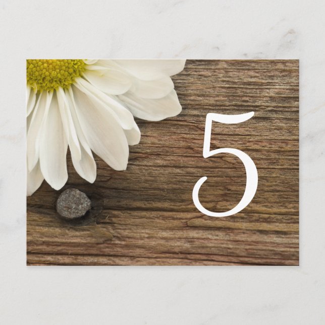 White Daisy Barn Wood Country Wedding Tischnummer (Vorderseite)