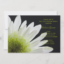 White Daisy Black Post Wedding Brunch Einladung