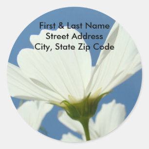 White Daisy Blume adressieren Labels Blue Sky Runder Aufkleber