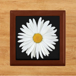 White Daisy Blume auf Black Floral Erinnerungskiste