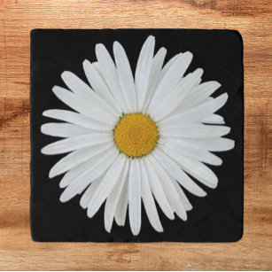 White Daisy Blume auf Black Floral Töpfeuntersetzer