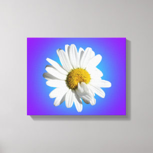 White Daisy Blume Bloral Lila Blue Gradient Leinwanddruck