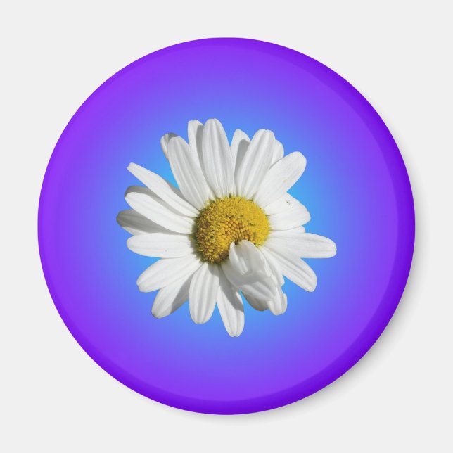 White Daisy Blume Bloral Lila Blue Gradient Magnet (Vorne)
