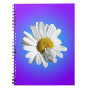White Daisy Blume Bloral Lila Blue Gradient Notizblock