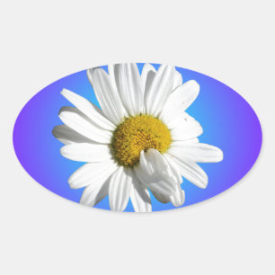 White Daisy Blume Bloral Lila Blue Gradient Ovaler Aufkleber