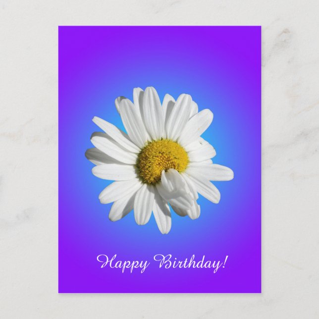 White Daisy Blume Bloral Lila Blue Gradient Postkarte (Vorderseite)
