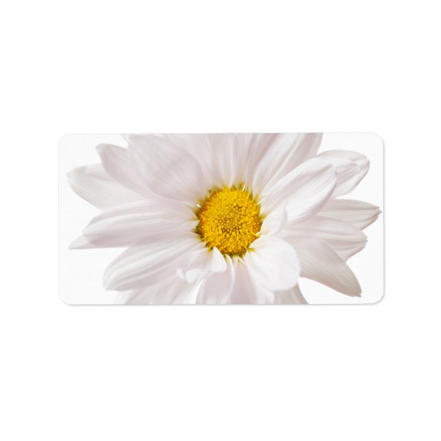 White Daisy Blume Daisies Blume Blumenvorlage Adressaufkleber (Vorne)