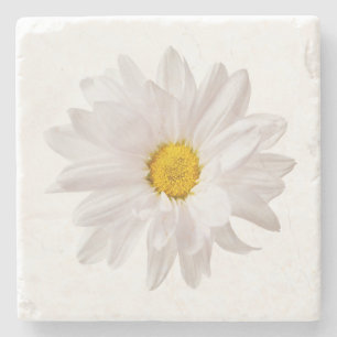 White Daisy Blume Design Floral Daisies Template Steinuntersetzer