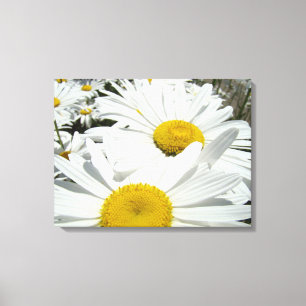 White Daisy Blume Gartenkunst druckt Daisies Leinwanddruck
