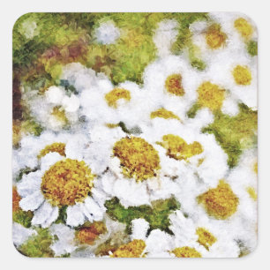 White Daisy Blume - Malsticker Quadratischer Aufkleber