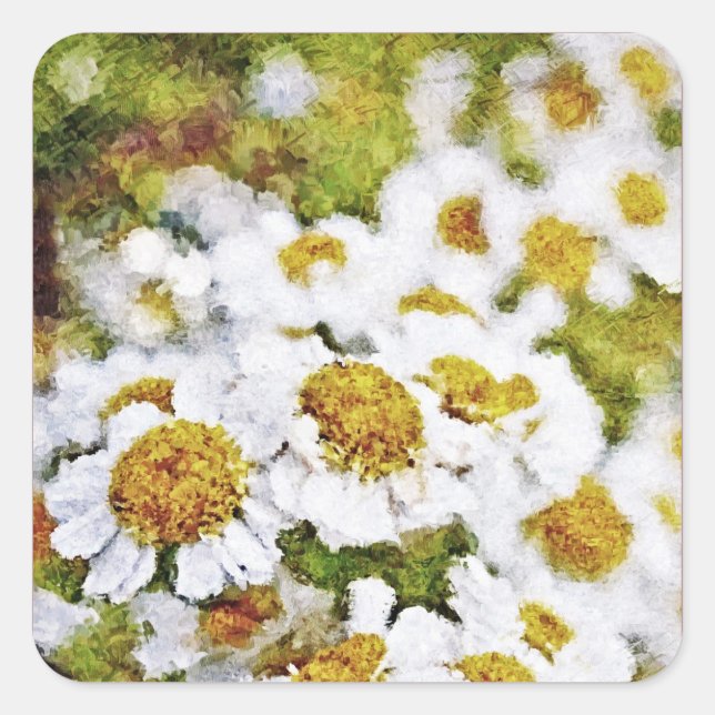 White Daisy Blume - Malsticker Quadratischer Aufkleber (Vorderseite)