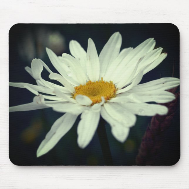 White Daisy Blume Mousepad (Vorne)