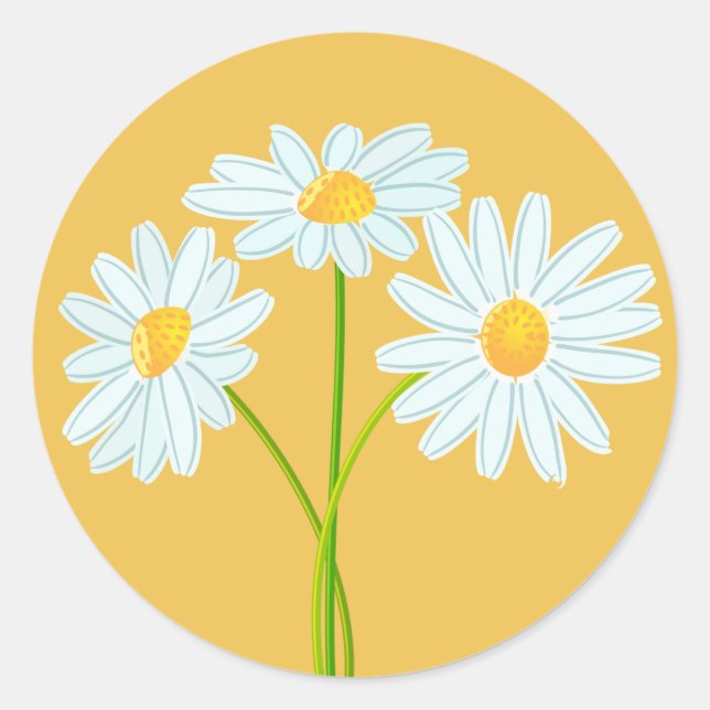 White Daisy Blume Orange Note Card Runder Aufkleber (Vorderseite)