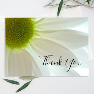 White Daisy Blume Petals Vielen Dank Dankeskarte