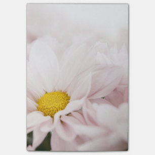 White Daisy Blume Pink Floral Daisis Blume Post-it Klebezettel