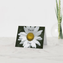 White Daisy Blume Vielen Dank