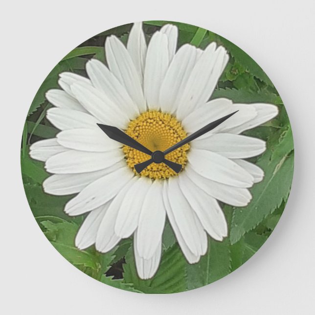 White Daisy Clock Große Wanduhr (Vorderseite)
