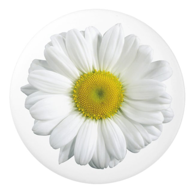 White Daisy Country Keramik Pull Keramikknauf (Vorderseite)