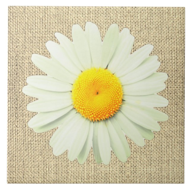 White Daisy Fliese (Vorderseite)