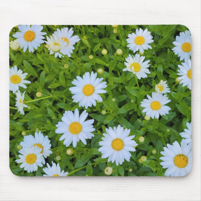 White Daisy Garden Mousepad (Vorne)
