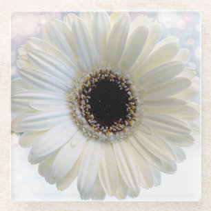 White Daisy Glasuntersetzer