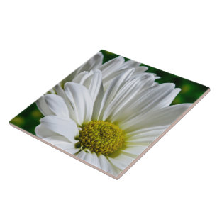 White Daisy Keramik Tile Fliese