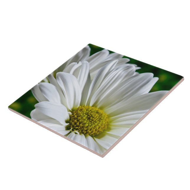 White Daisy Keramik Tile Fliese (Seite)
