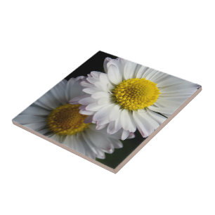 White Daisy Keramik Tile Fliese