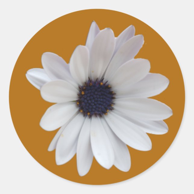 White Daisy Lila Center Gold Background Foto Runder Aufkleber (Vorderseite)