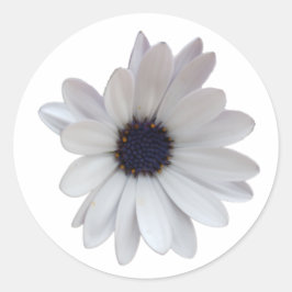 White Daisy mit Lila Center Foto Cutout Runder Aufkleber