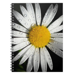 White Daisy Notizblock