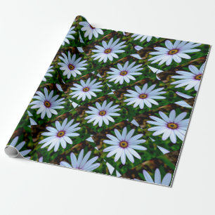 White Daisy Pattern Geschenkpapier