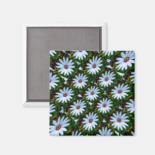 White Daisy Pattern Magnet